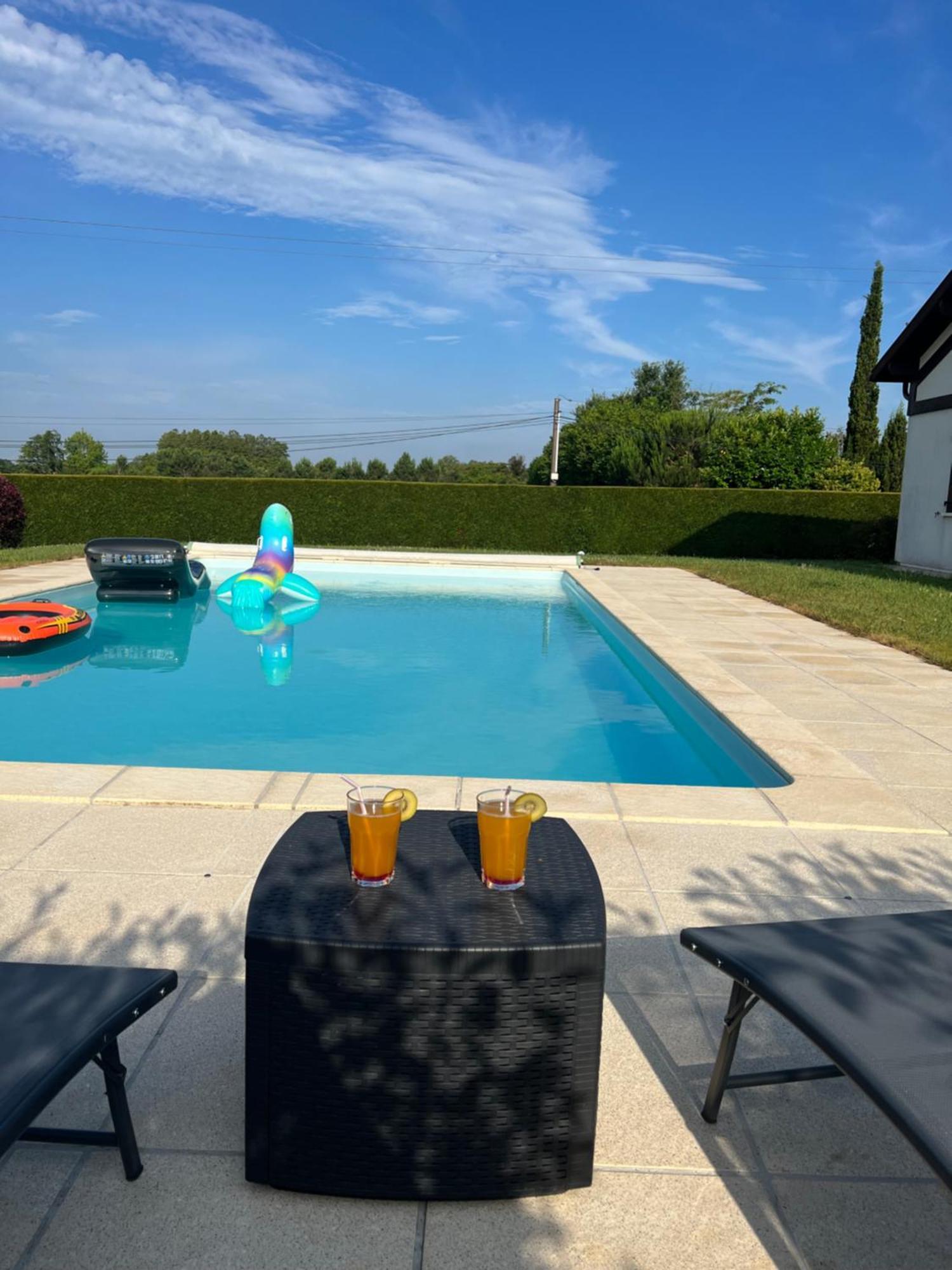 La Landaise Avec Piscine Villa Saubrigues