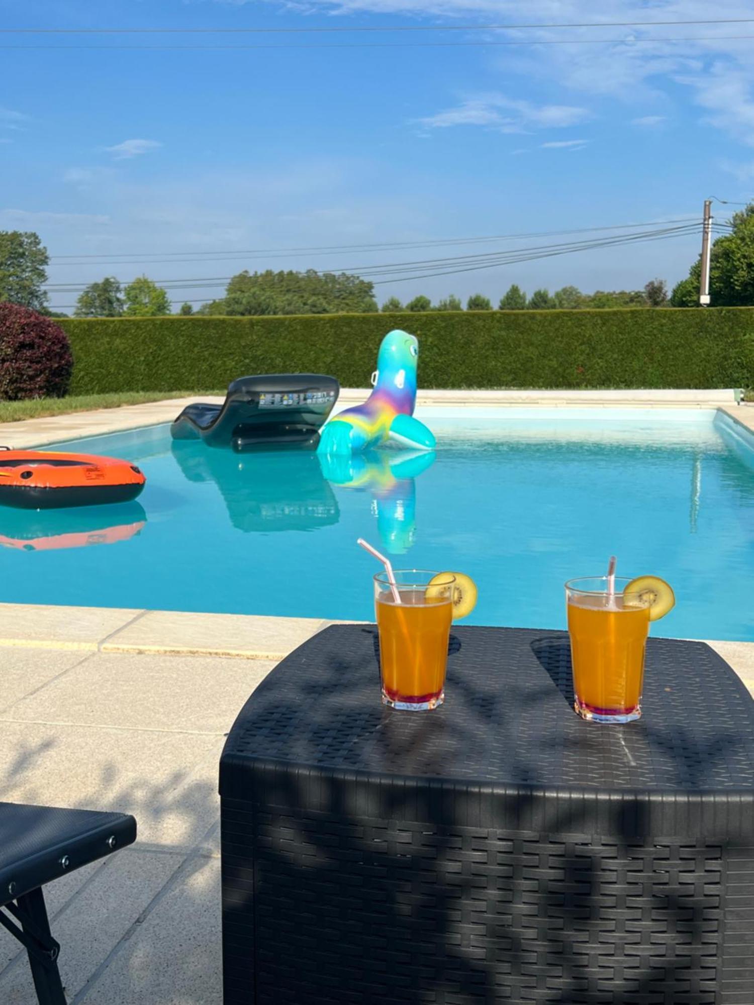 Villa La Landaise Avec Piscine *